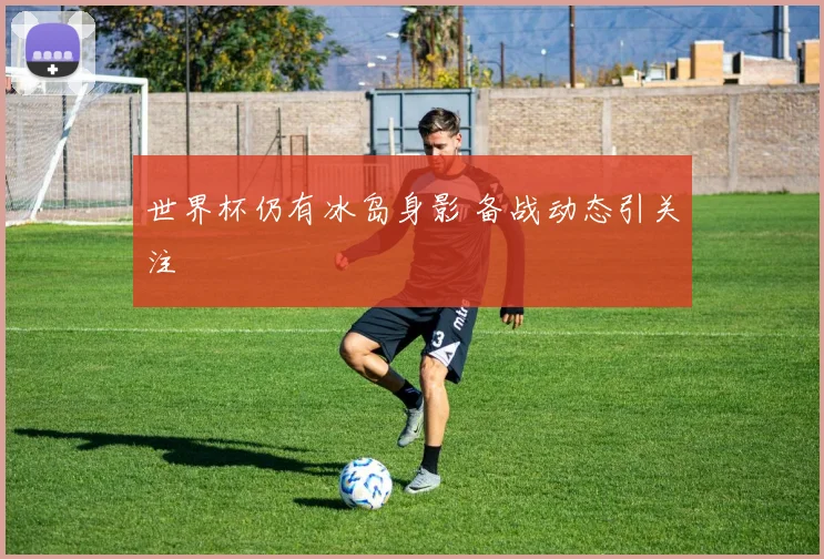 世界杯仍有冰岛身影 备战动态引关注