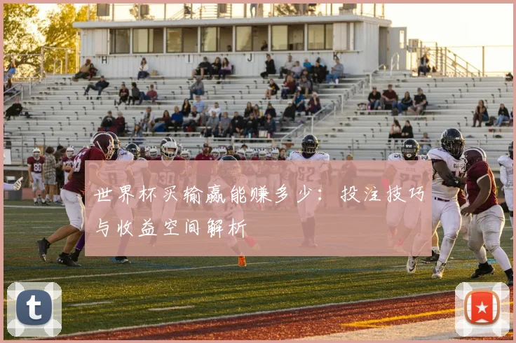世界杯买输赢能赚多少:投注技巧与收益空间解析