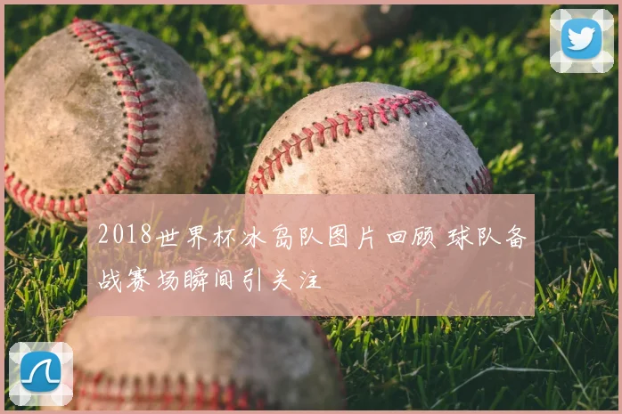 2018世界杯冰岛队图片回顾 球队备战赛场瞬间引关注