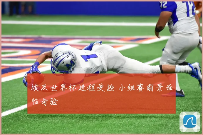 埃及世界杯进程受挫 小组赛前景面临考验