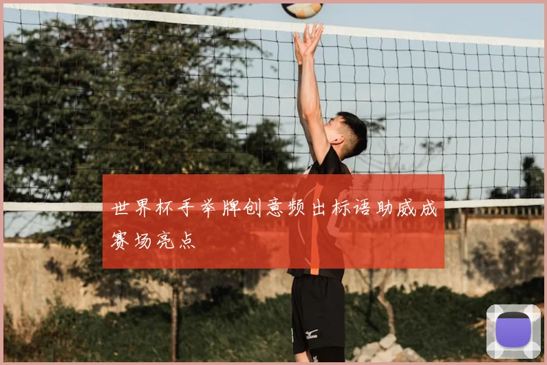 世界杯手举牌创意频出标语助威成赛场亮点
